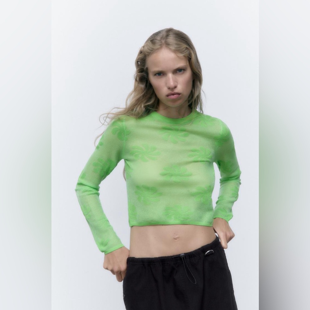 ZARA Small Green Metallic Floral Crop Mesh Long Sleeve Top